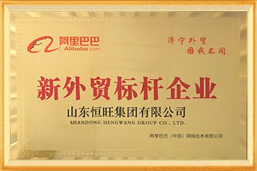 阿裏巴(bā)巴新外貿标(biāo)杆企業